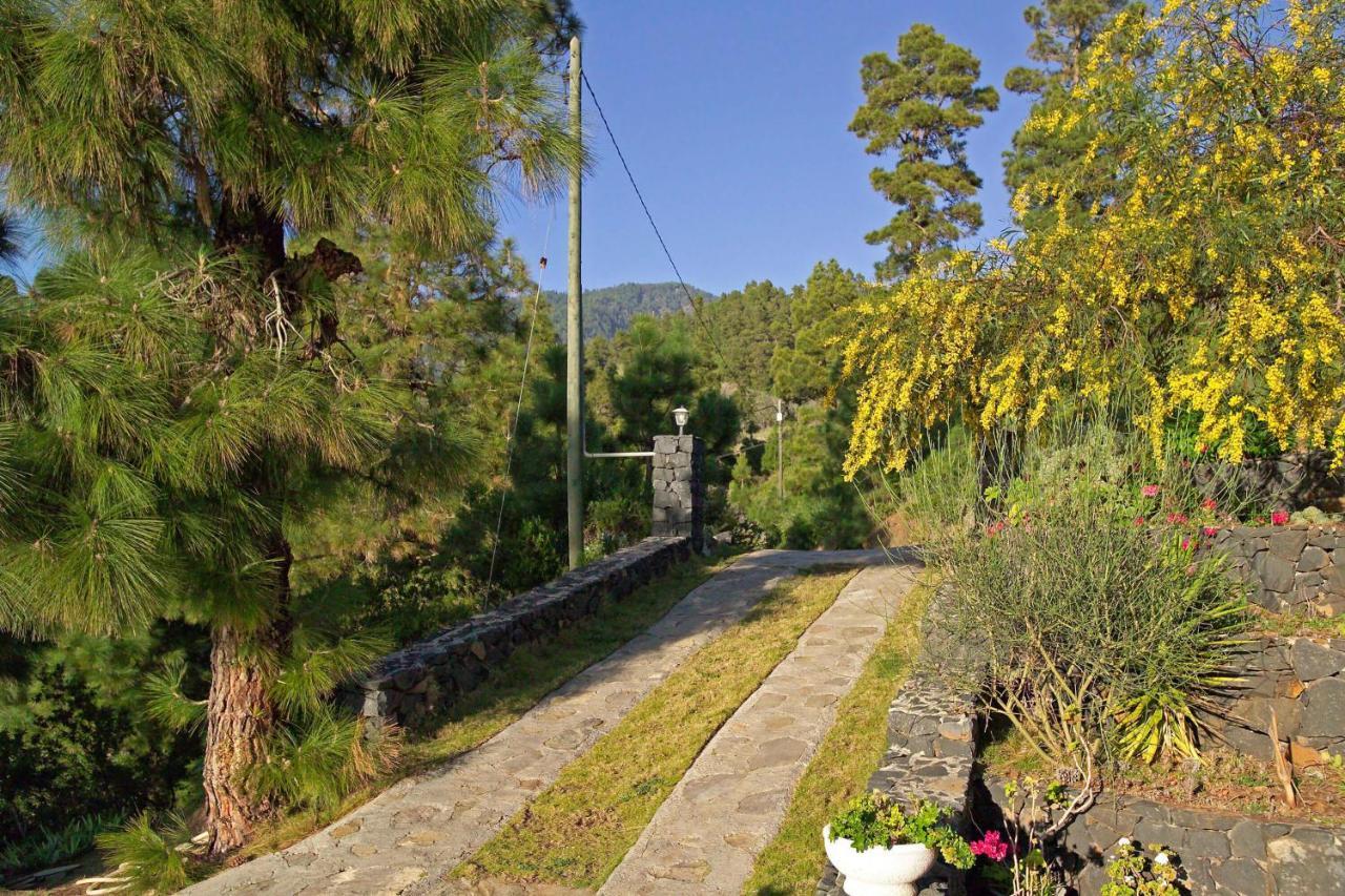 Casa Antonia Villa Tijarafe Luaran gambar